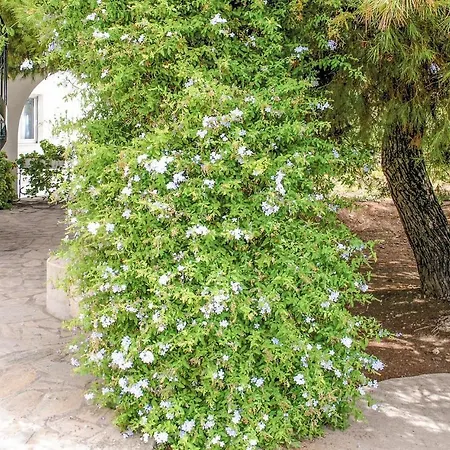 Soleiliosonne Haus Zeus Apartment Ermioni